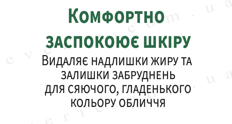 01 (1) копия