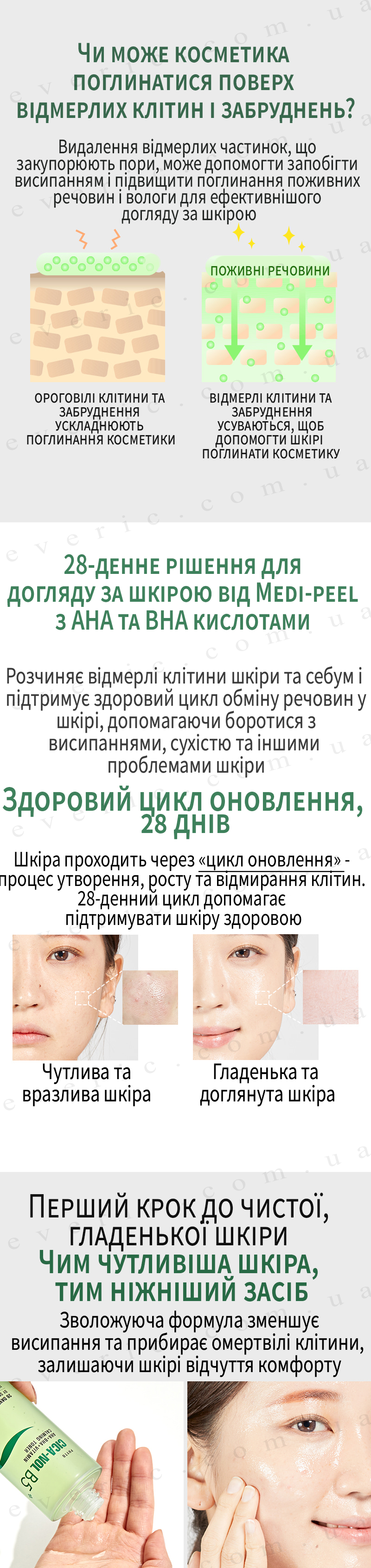 06 копия