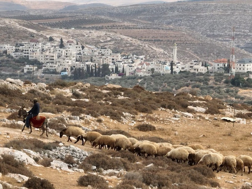 5945115292315269141 121.jpg