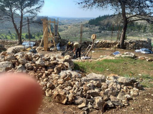 5937403708600069707 120.jpg