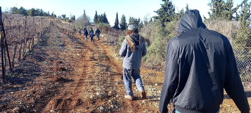 5994803227796813439 120.jpg