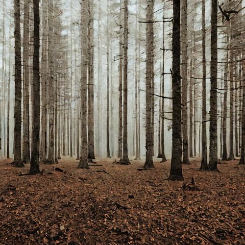 9277933287905789657832628249736.jpg