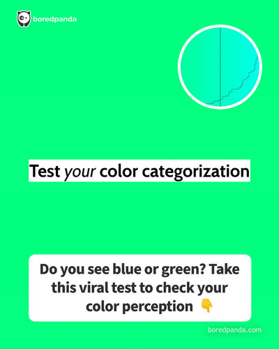 Color 2.jpg