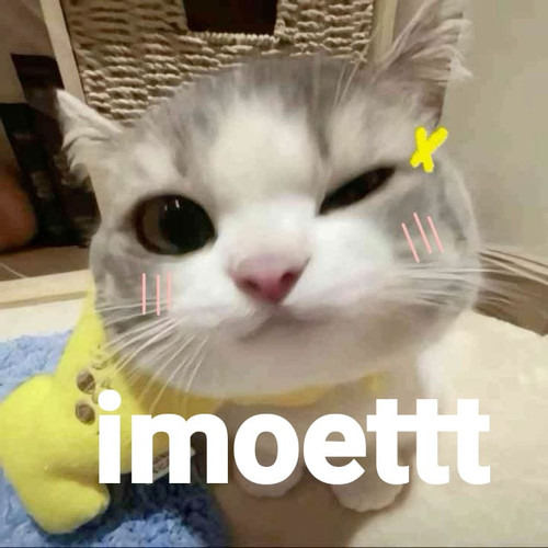 image.jpg