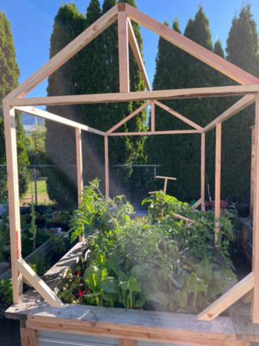 ed39aedcc3ad.jpg