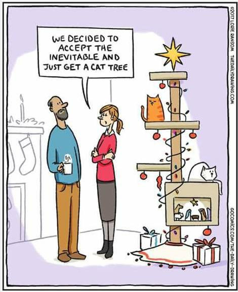 459584043 509552781785198 4712865643088785962 n.jpg