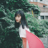 fdgs (2)