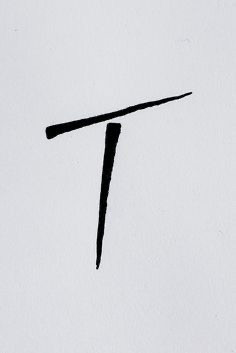 IMG 0834.jpg
