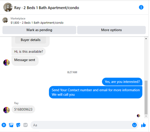 ray.png