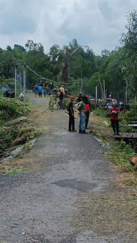 WhatsApp Image 2024 09 17 at 11.33.35 (2).jpg