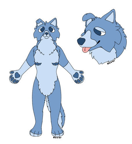 Untitled4 20240916202226.png