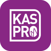KASPRO1.png