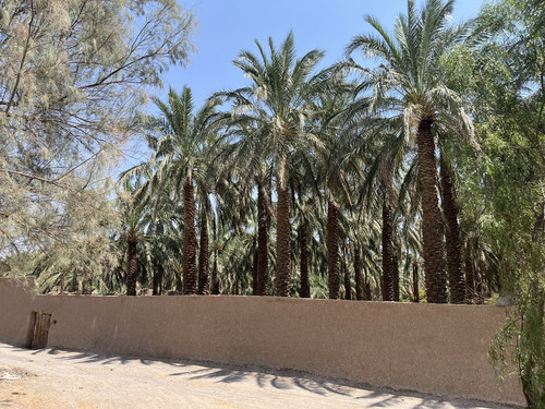 GXmSCTMXkAAa lb?format=jpg.jpg