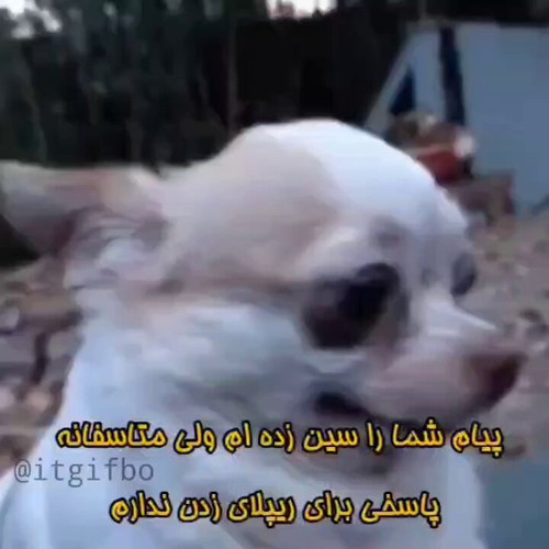 WRhxO2TxLrUXFcSC.jpg