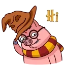 1726592091 957475377.webp