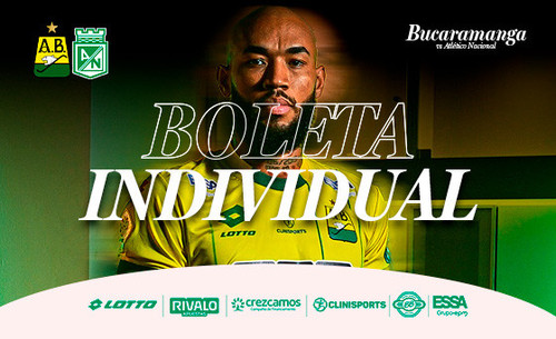 03 Boleta Individual.jpg