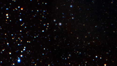 rviDEN DiTkX0ntT.jpg