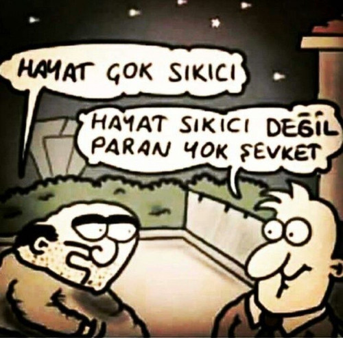 a1.jpg