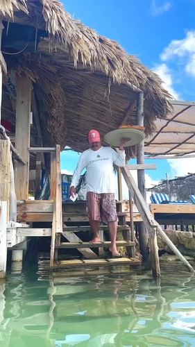 A9z4XvW8309v Cjy.jpg