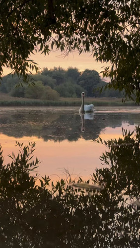 0Dc3 FiMvwsXMQVW.jpg