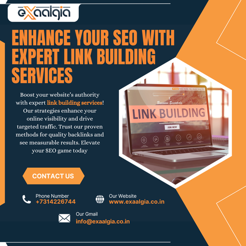  link building services.png