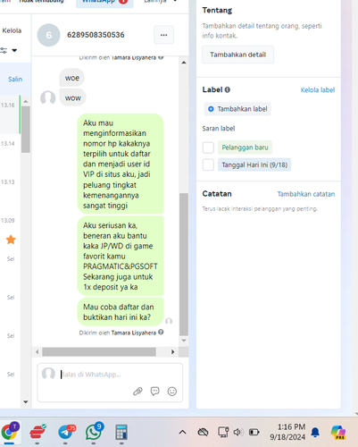 Screenshot 2024 09 18 131605.png