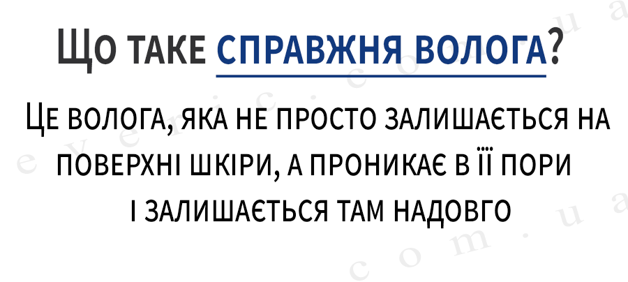 06 копия