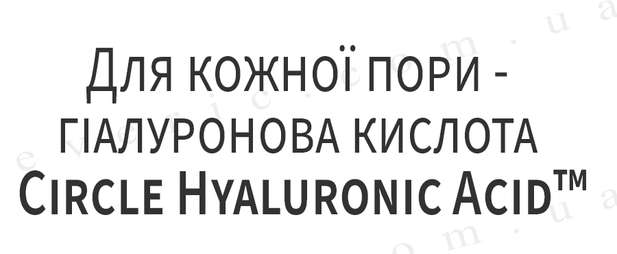 08 копия