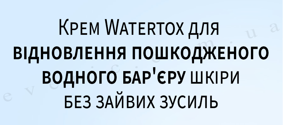 14 копия
