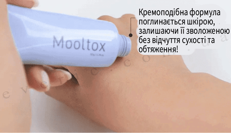 13 копия