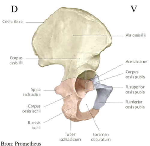 f96cf3623765.png