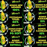 jagung77
