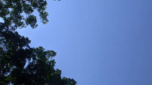 PXL 20240916 013740394.PORTRAIT.jpg