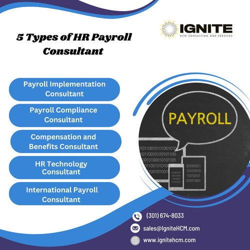  5 Types of HR Payroll Consultant.jpg