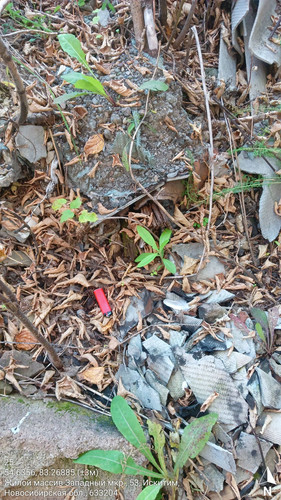 25 343° 123м 54.6356, 83.26885 (±3м) 17092024 183248.jpg