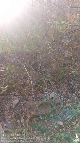 25 299° 123м 54.6356, 83.26885 (±3м) 17092024 183313.jpg