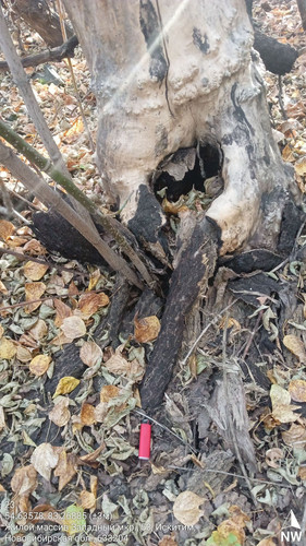 23 321° 124м 54.63578, 83.26885 (±3м) 17092024 182935.jpg