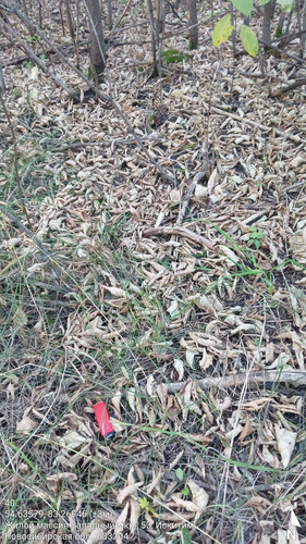 40 9° 122м 54.63579, 83.26946 (±3м) 17092024 190245.jpg