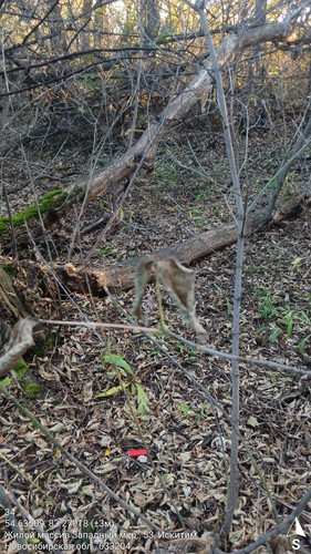 34 161° 122м 54.63509, 83.27018 (±3м) 17092024 185300.jpg