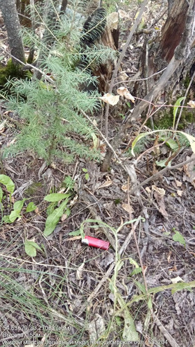  5426985702039611147 121.jpg