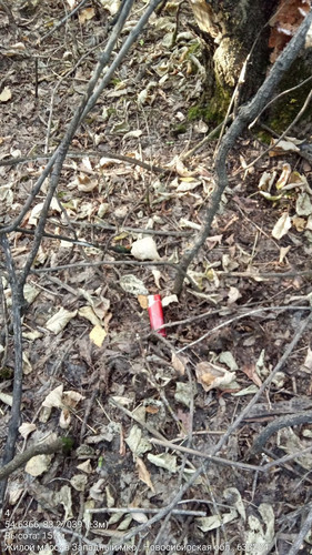  5426985702039611151 121.jpg