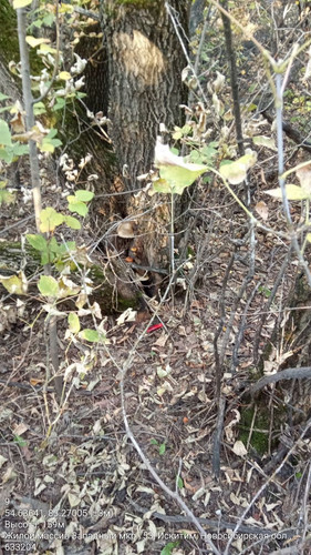  5426985702039611163 121.jpg