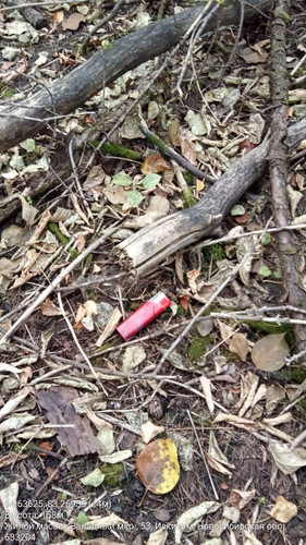  5426985702039611176 121.jpg