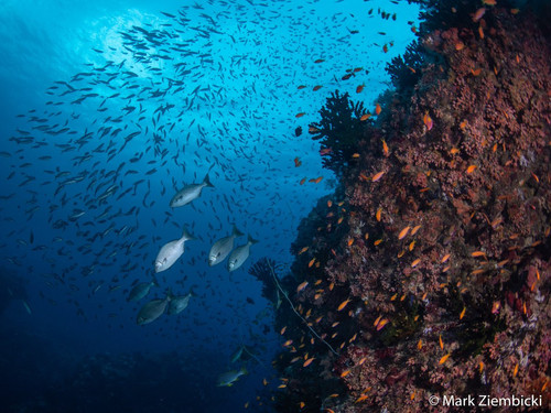 GXps1LOaIAE 407?format=jpg.jpg