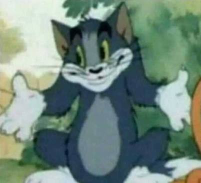 cat.jpg