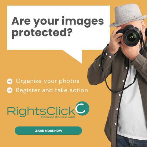 Online Photographer Copyright with RightsClick.png