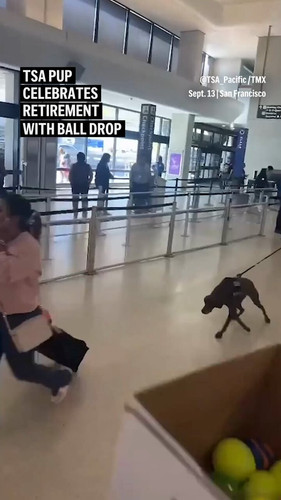 5lw3hBGA vJLAZvr.jpg