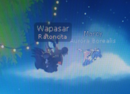 imagen 2024 09 17 210837164.png