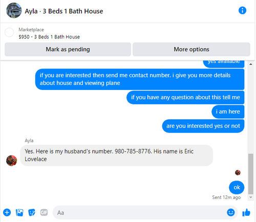 Ayla.png
