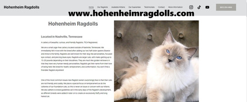 Tennessee Ragdoll Breeders.jpg